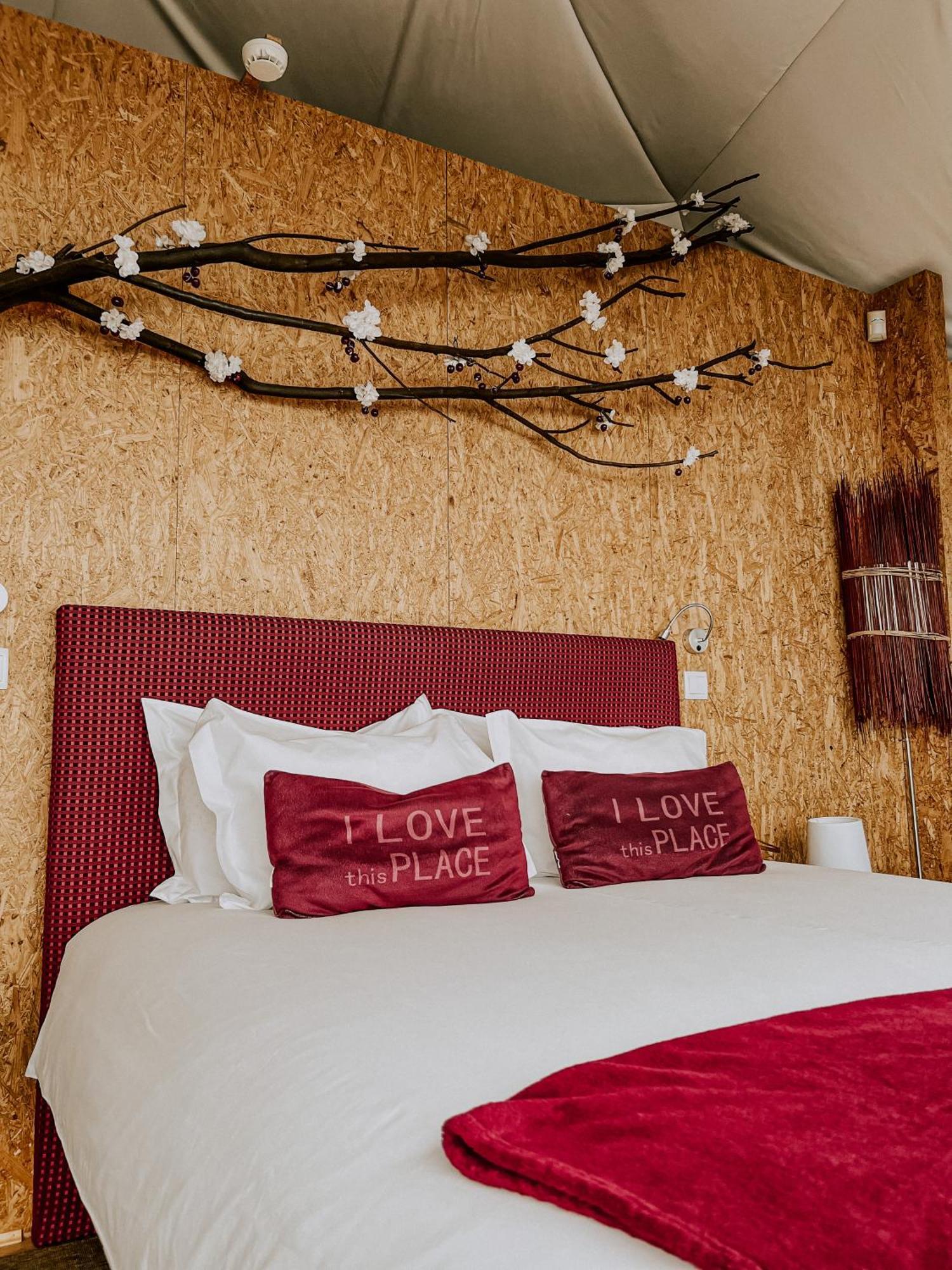 Natura Glamping Alcongosta ภายนอก รูปภาพ